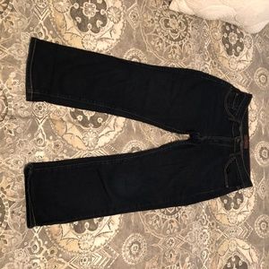 Dry Aged Denim Bridgette Skinny Jean- Size 29
